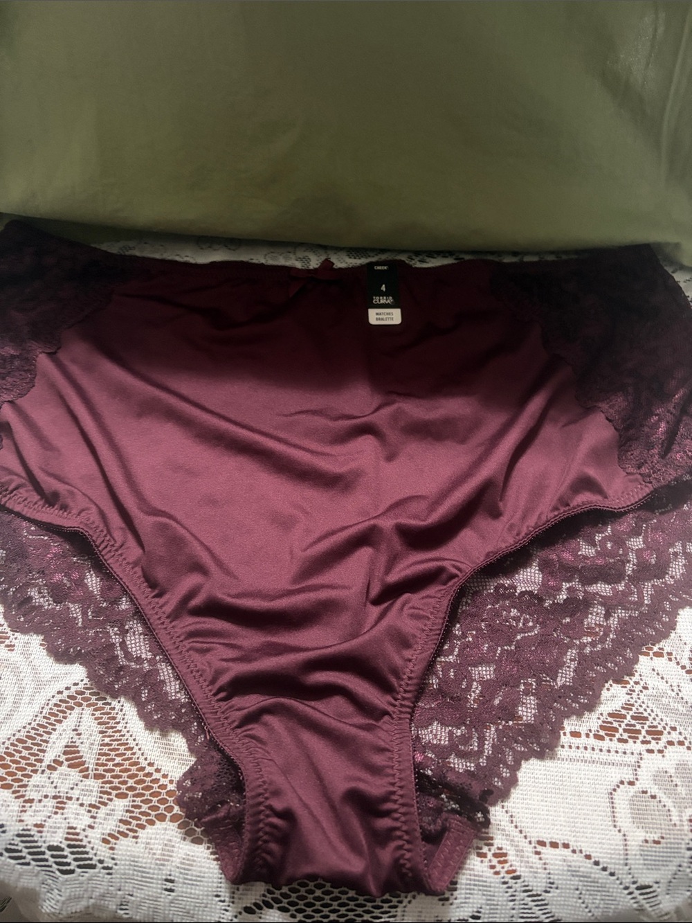 NWT Lace-Trim High Waist Briefs in Plum